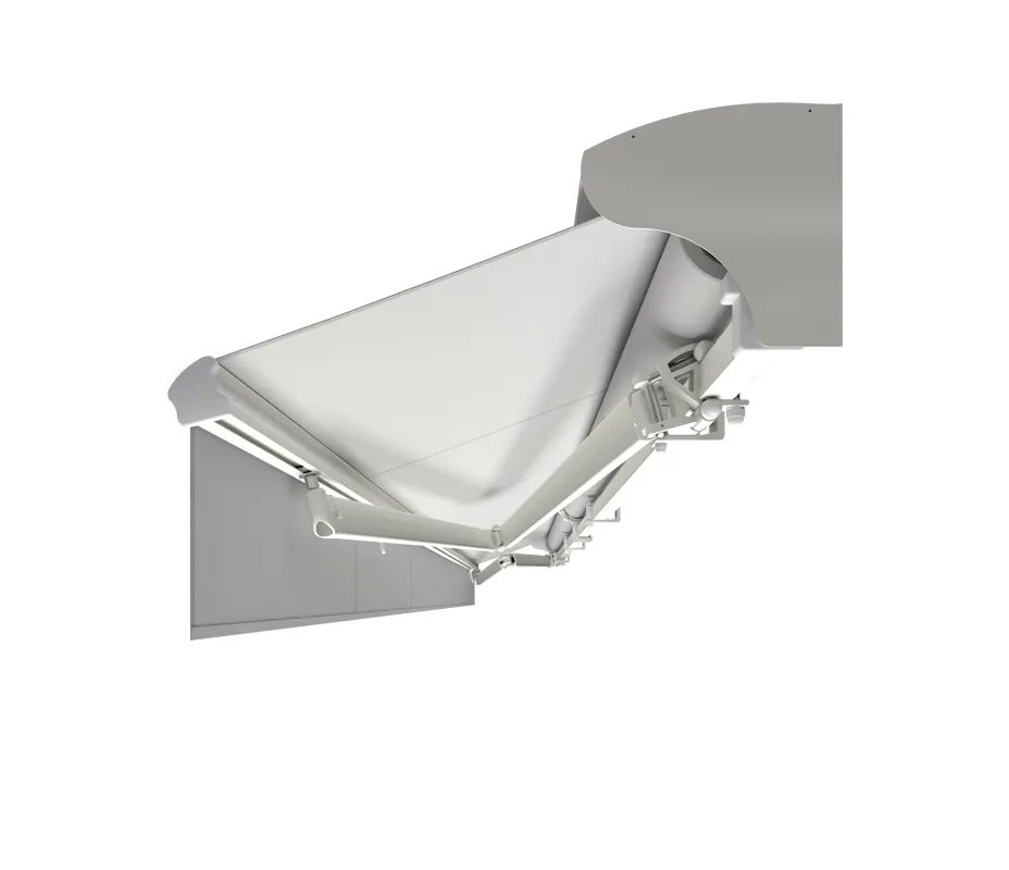 SILVER PLUS